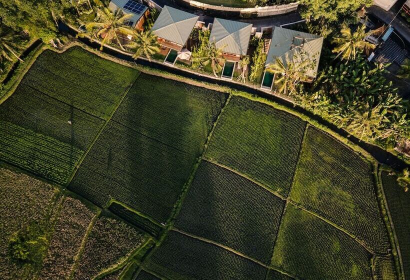 Bed and Breakfast Grün Canggu