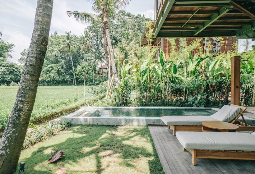 Bed and Breakfast Grün Canggu