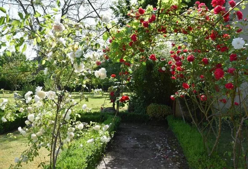L Intemporelle B&b