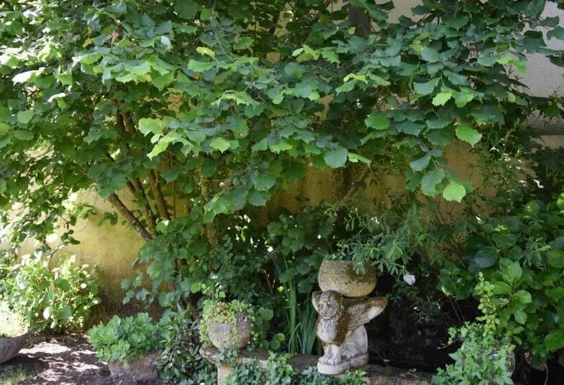 L Intemporelle B&b