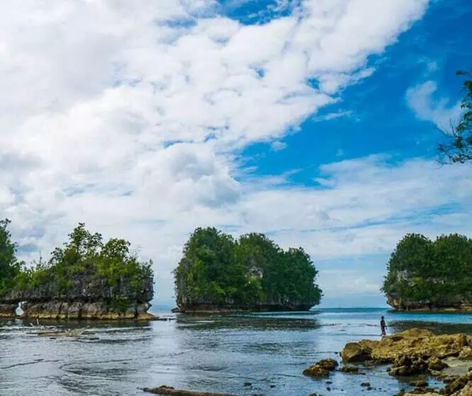 Hotelli Caluwayan Palm Island Resort