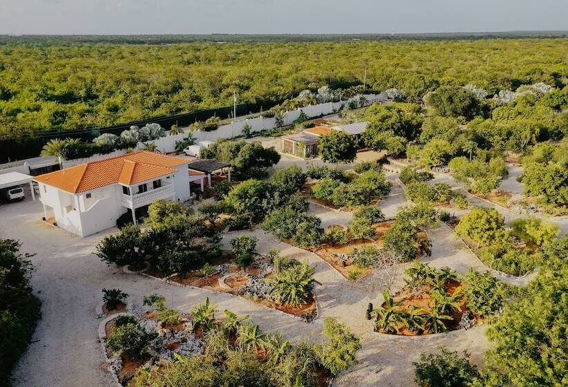 هتل Le Soleil D Or Caymanbrac