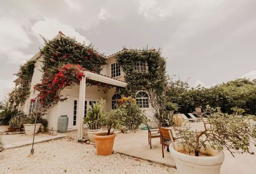 هتل Le Soleil D Or Caymanbrac