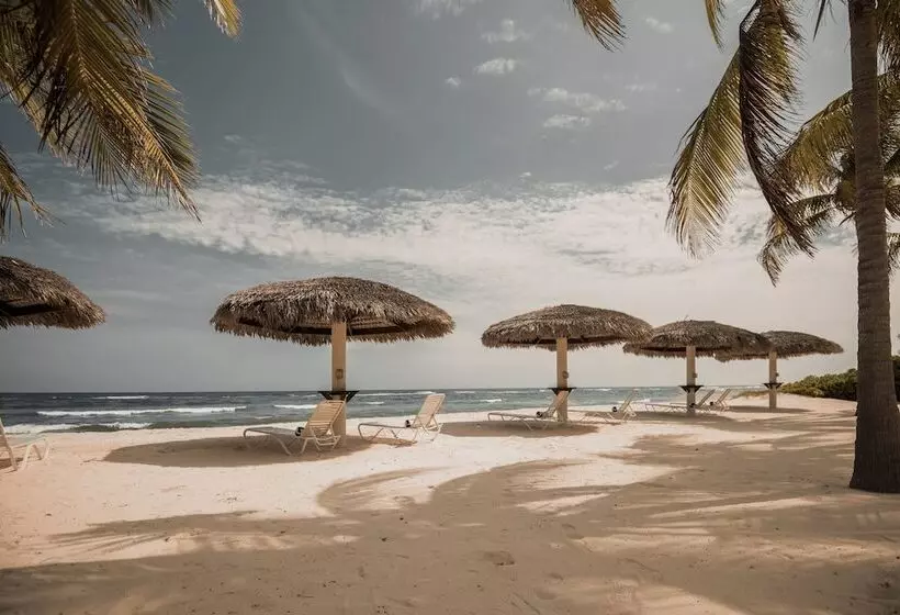 هتل Le Soleil D Or Caymanbrac