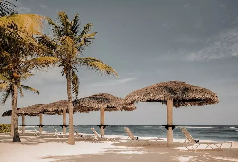 هتل Le Soleil D Or Caymanbrac