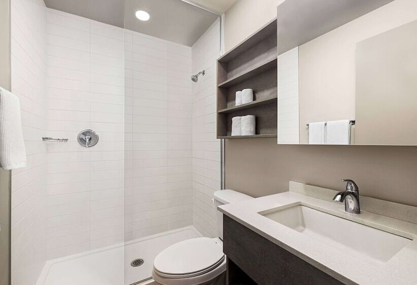 Microtel Inn & Suites Montreal Airport   Dorval Qc