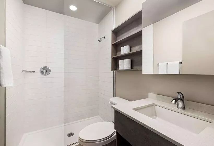 Microtel Inn & Suites Montreal Airport   Dorval Qc