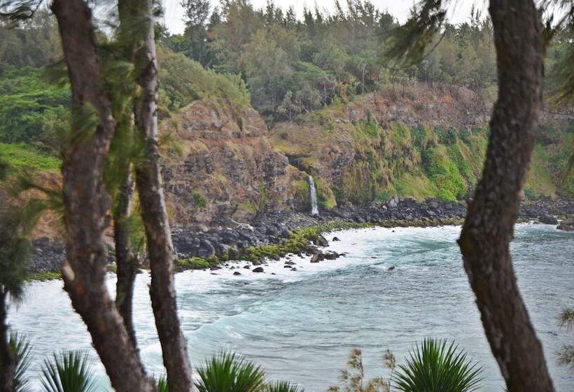 هتل Andrea Lodges