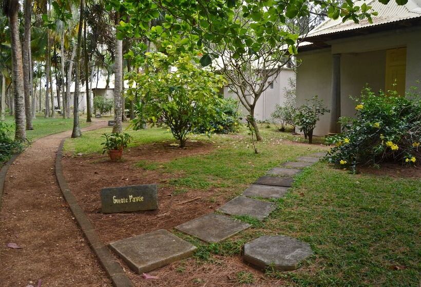 هتل Andrea Lodges