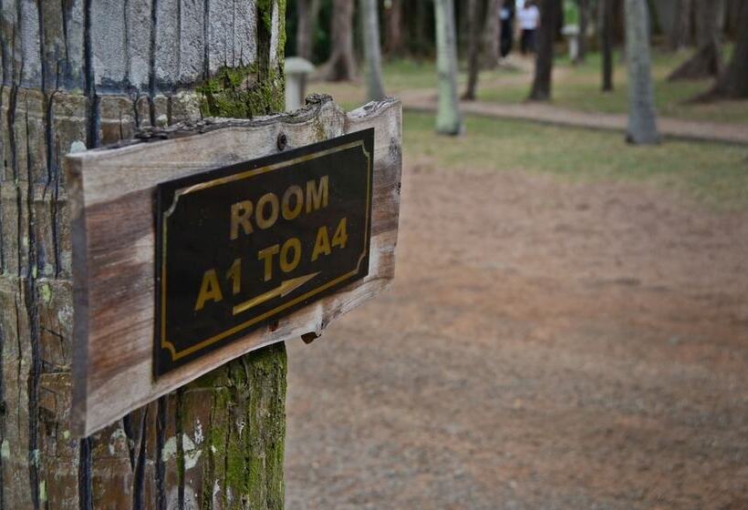 هتل Andrea Lodges