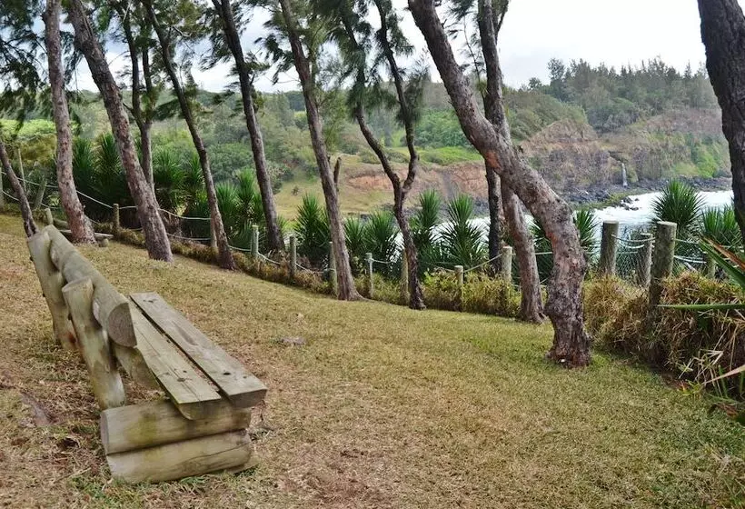 هتل Andrea Lodges