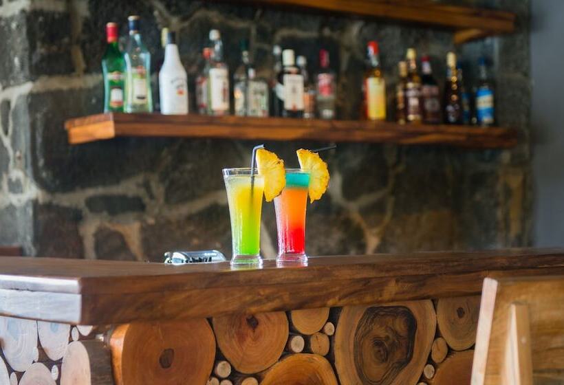 هتل Andrea Lodges