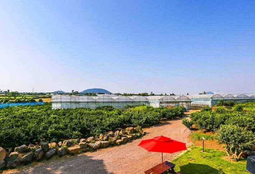 Jeju Osaekgyul Cheheom Pension