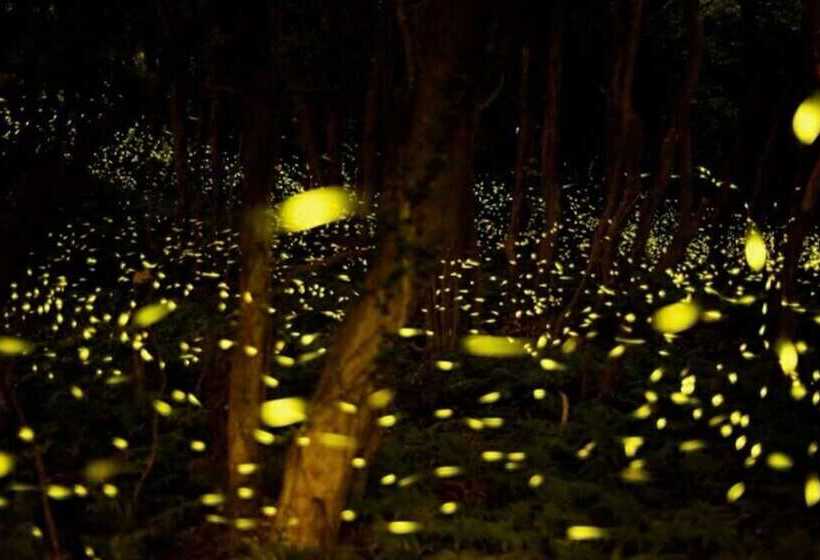 Jeju Osaekgyul Cheheom Pension