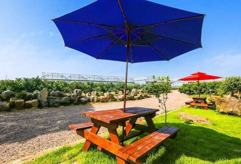 Jeju Osaekgyul Cheheom Pension