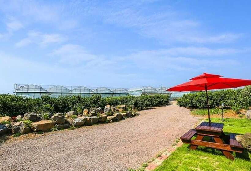Jeju Osaekgyul Cheheom Pension