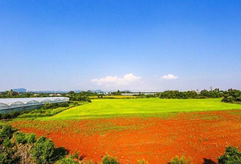 Jeju Osaekgyul Cheheom Pension