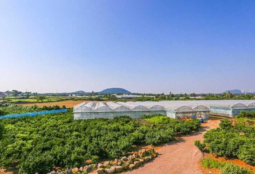 Jeju Osaekgyul Cheheom Pension