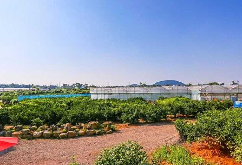 Jeju Osaekgyul Cheheom Pension