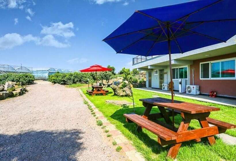 Jeju Osaekgyul Cheheom Pension