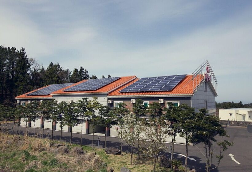 Jeju Venus Self Check In Motel