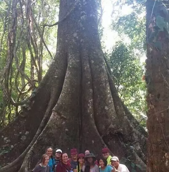 ホテル Amazon Lodge Tambopata