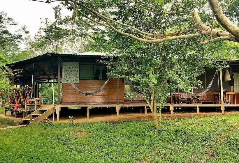 ホテル Amazon Lodge Tambopata