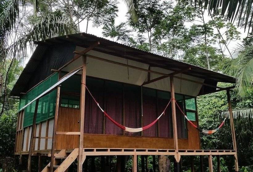 هتل Amazon Lodge Tambopata