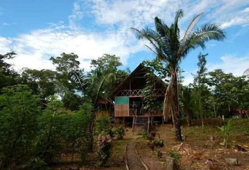 هتل Amazon Lodge Tambopata