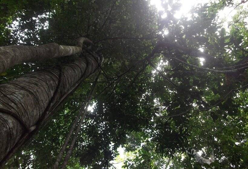 هتل Chullachaqui Ecolodge