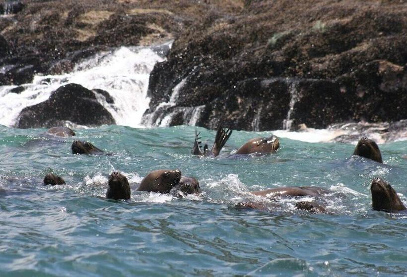 ホテル Costa Del Inka