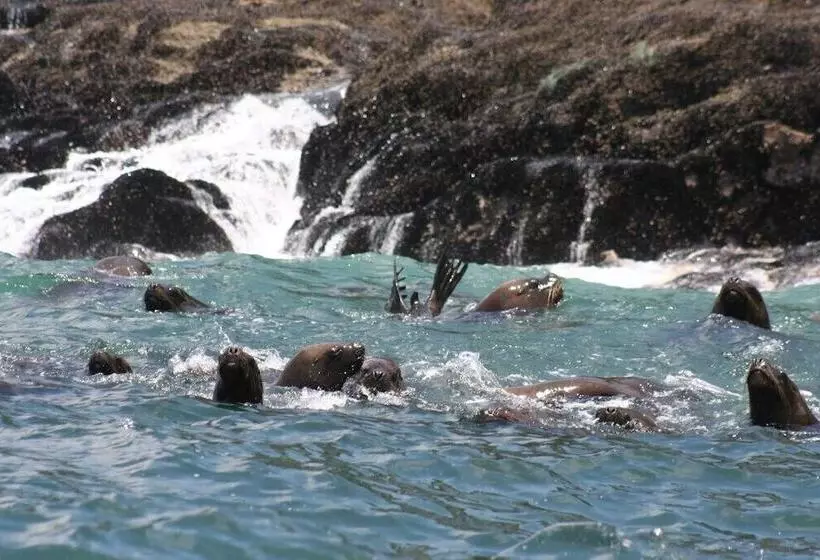 ホテル Costa Del Inka