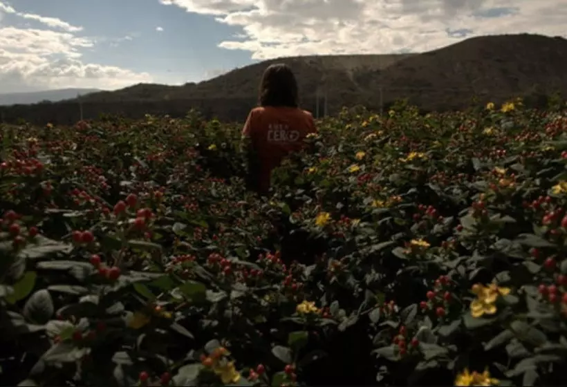 ホテル Inraki Lodge