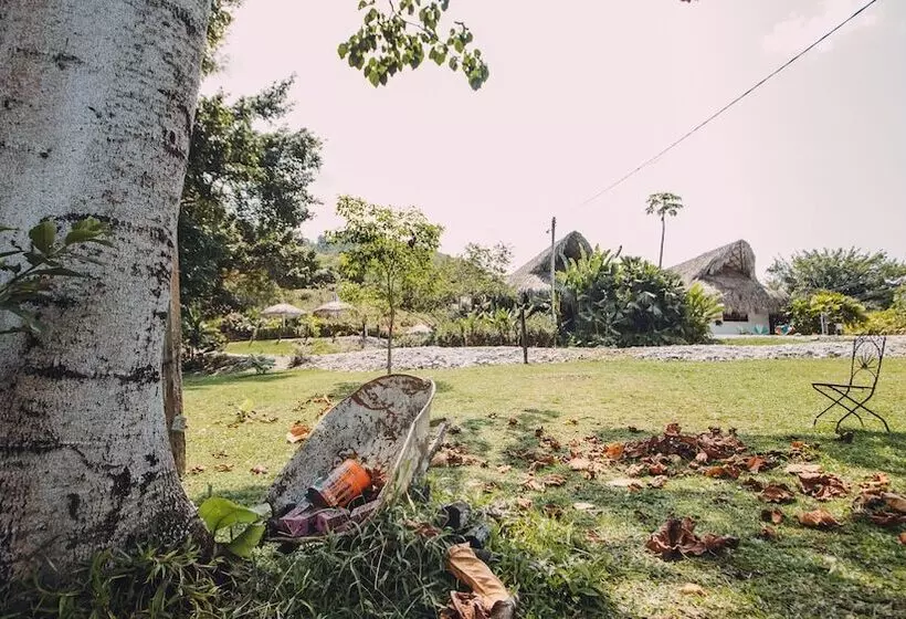 Hotelli Los Colores Ecoparque