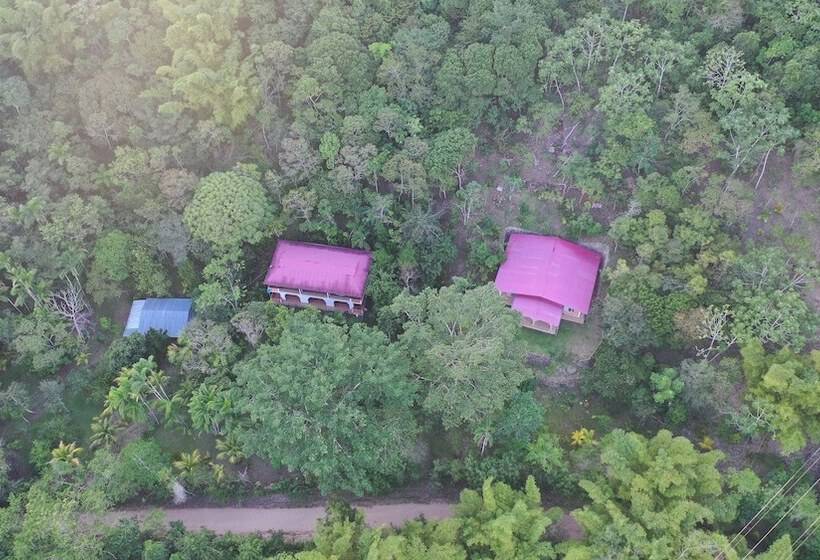 בית מלון כפרי Huingos Eco Lodge