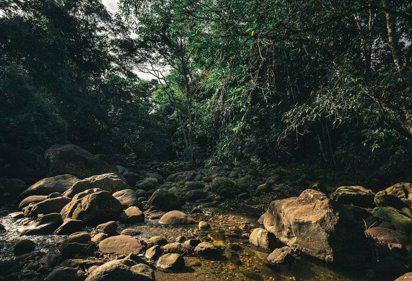 בית מלון כפרי Huingos Eco Lodge