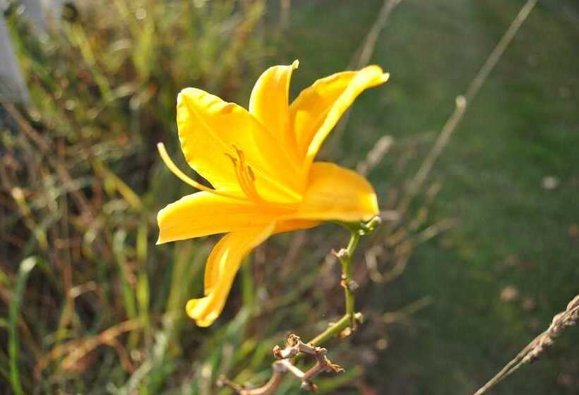 בית מלון כפרי Willoburke Boutique Inn & Nordic Spa