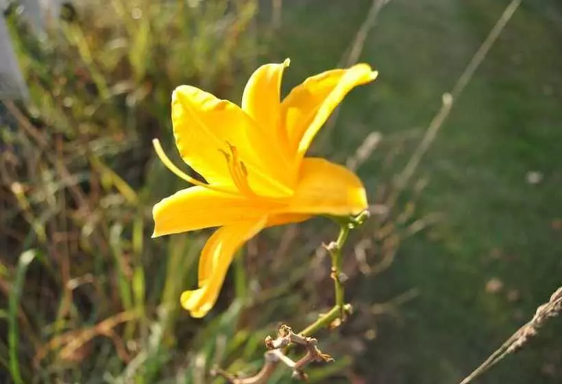 Hotelli Willoburke Boutique Inn & Nordic Spa