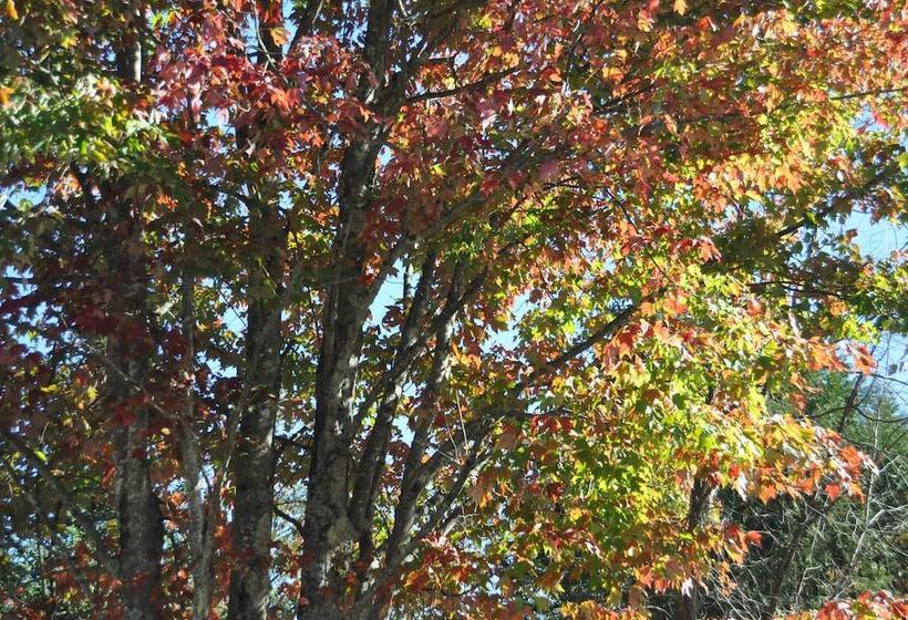 בית מלון כפרי Willoburke Boutique Inn & Nordic Spa