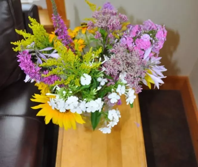 Hotelli Willoburke Boutique Inn & Nordic Spa