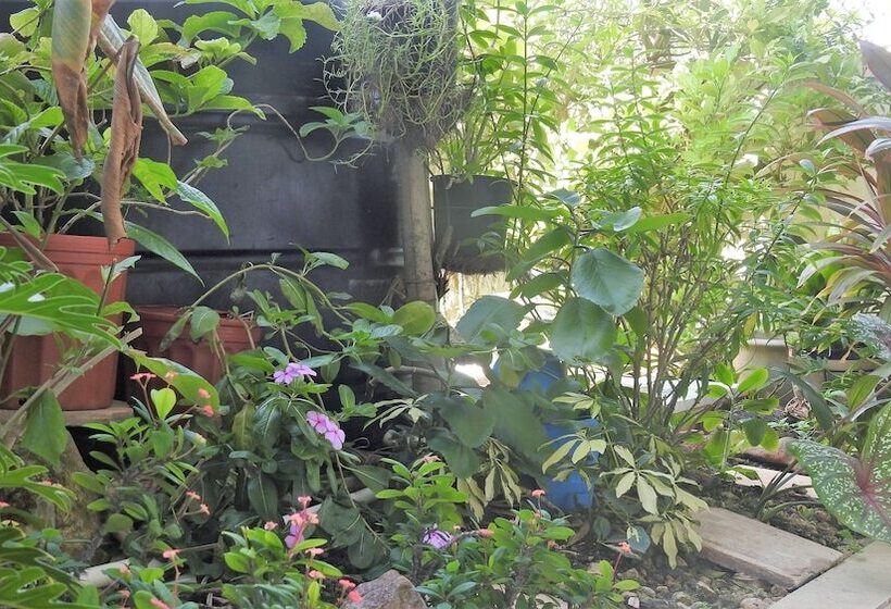 ホテル Agua Sol Villa