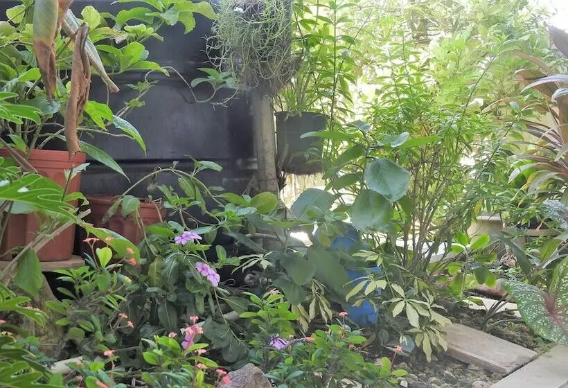 ホテル Agua Sol Villa