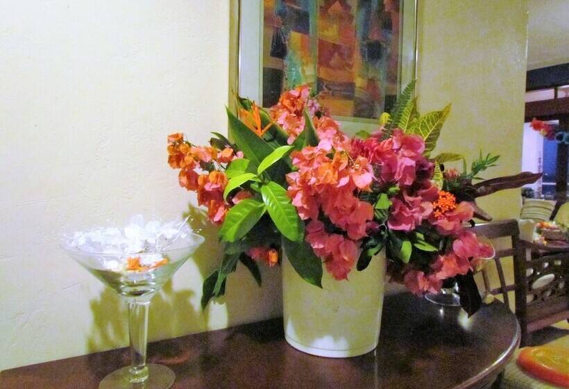 ホテル Agua Sol Villa