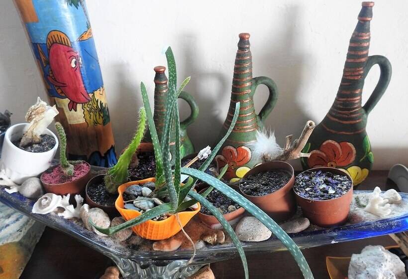 ホテル Agua Sol Villa