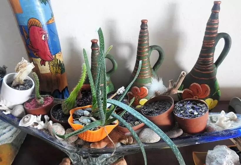 ホテル Agua Sol Villa