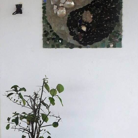 ホテル Agua Sol Villa