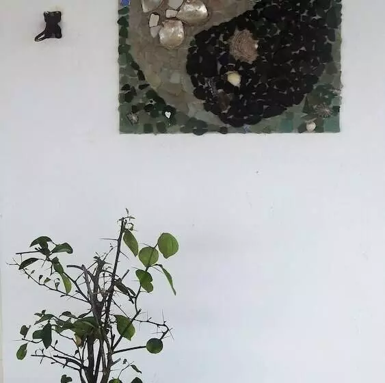 ホテル Agua Sol Villa