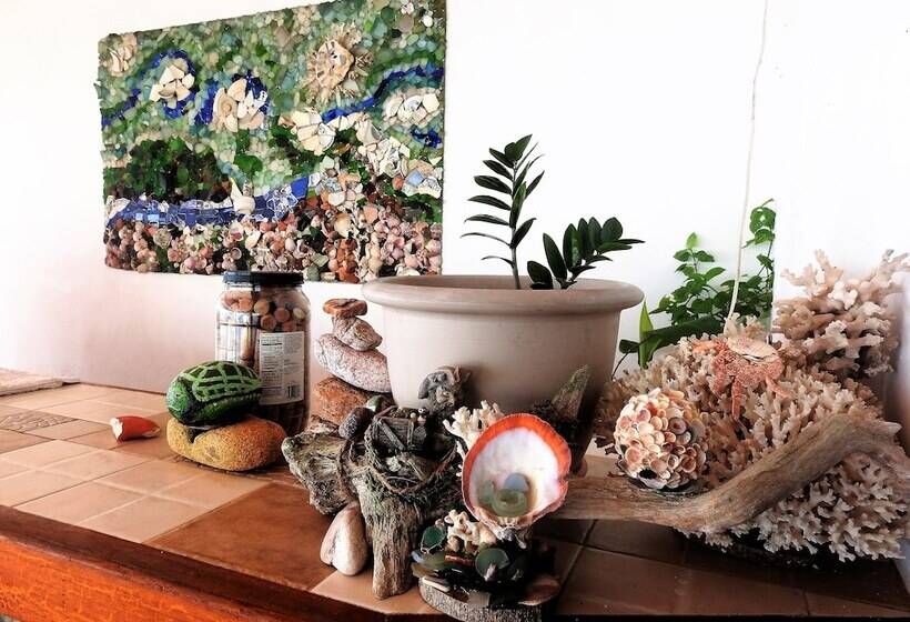 ホテル Agua Sol Villa