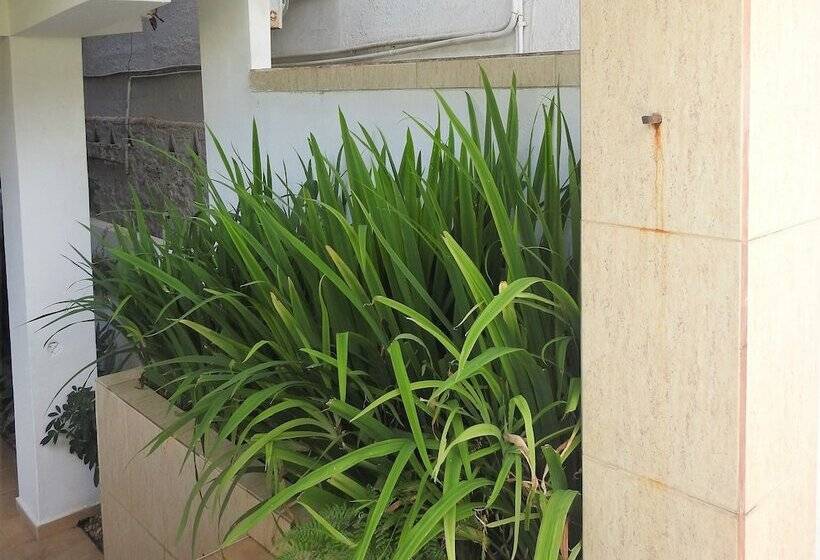 ホテル Agua Sol Villa