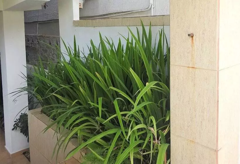 ホテル Agua Sol Villa